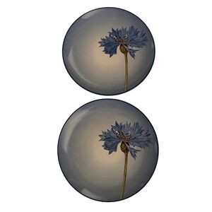Noritake Colorwave Blue Cornflower Salad Plates Set of 2 Stoneware Size 8.25